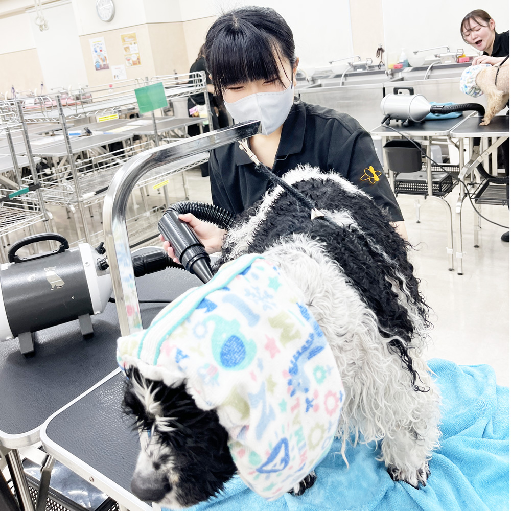 楽しくトリミング♪